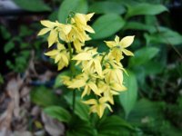 DSC00087
