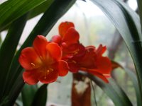 DSC00091