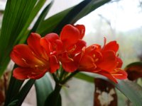 DSC00092