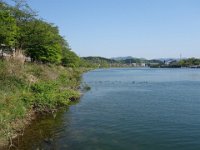 DSC00101