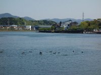 DSC00102
