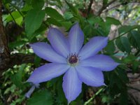 DSC00125