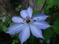 DSC00126