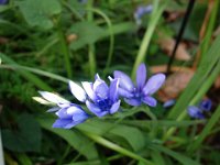 DSC00130