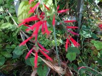 DSC00131
