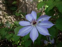 DSC00140