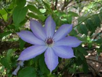 DSC00141