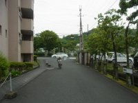 RIMG7909