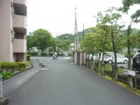 RIMG7910