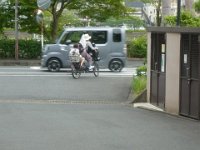 RIMG7915