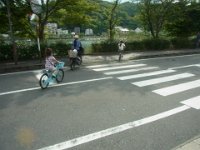 RIMG7960
