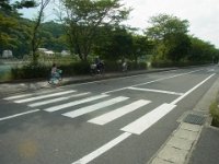 RIMG7961