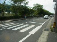 RIMG7962