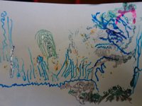 DSC00250