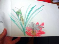 DSC00251X