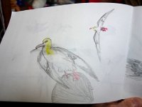 DSC00254X