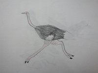 DSC00268