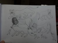 DSC00269