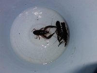 DSC00300