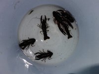 DSC00307