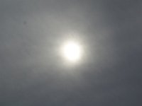 DSC00352