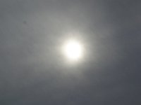 DSC00353