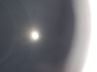 DSC00354