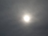 DSC00356