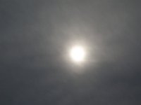 DSC00357