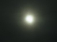 RIMG8028
