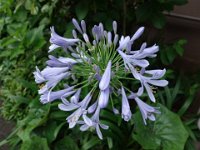 DSC00360
