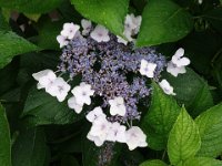 DSC00362