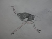 DSC00376