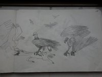 DSC00390