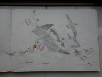 DSC00391