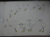 DSC00400