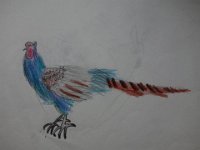 DSC00405