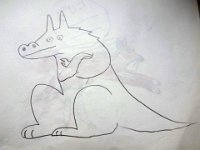DSC00407X