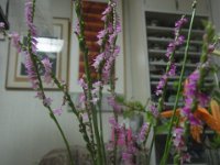 RIMG0013