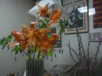 RIMG0030