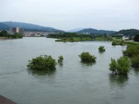 DSC00476X