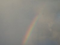 DSC00700