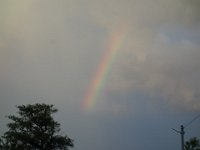 DSC00704