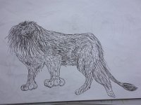 DSC00776X