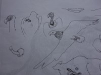 DSC00777