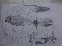 DSC00779