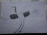 DSC00798