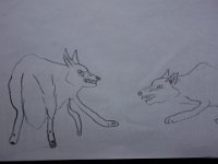DSC00799