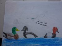 DSC00802
