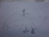 DSC00803